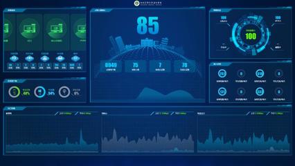 信息系统运行维护服务与信息公开机制