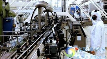 烟台职业学院单招热门专业解析与信息系统运行维护服务专业前景展望